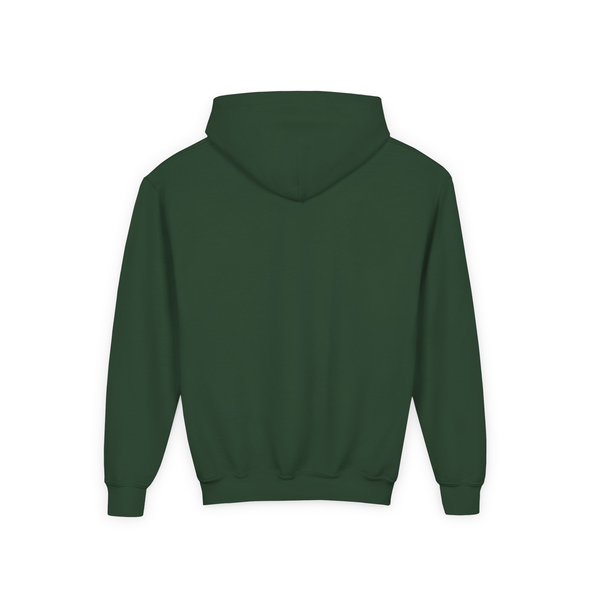 15146670668515397972 2048 - Spencer Barbosa Shop