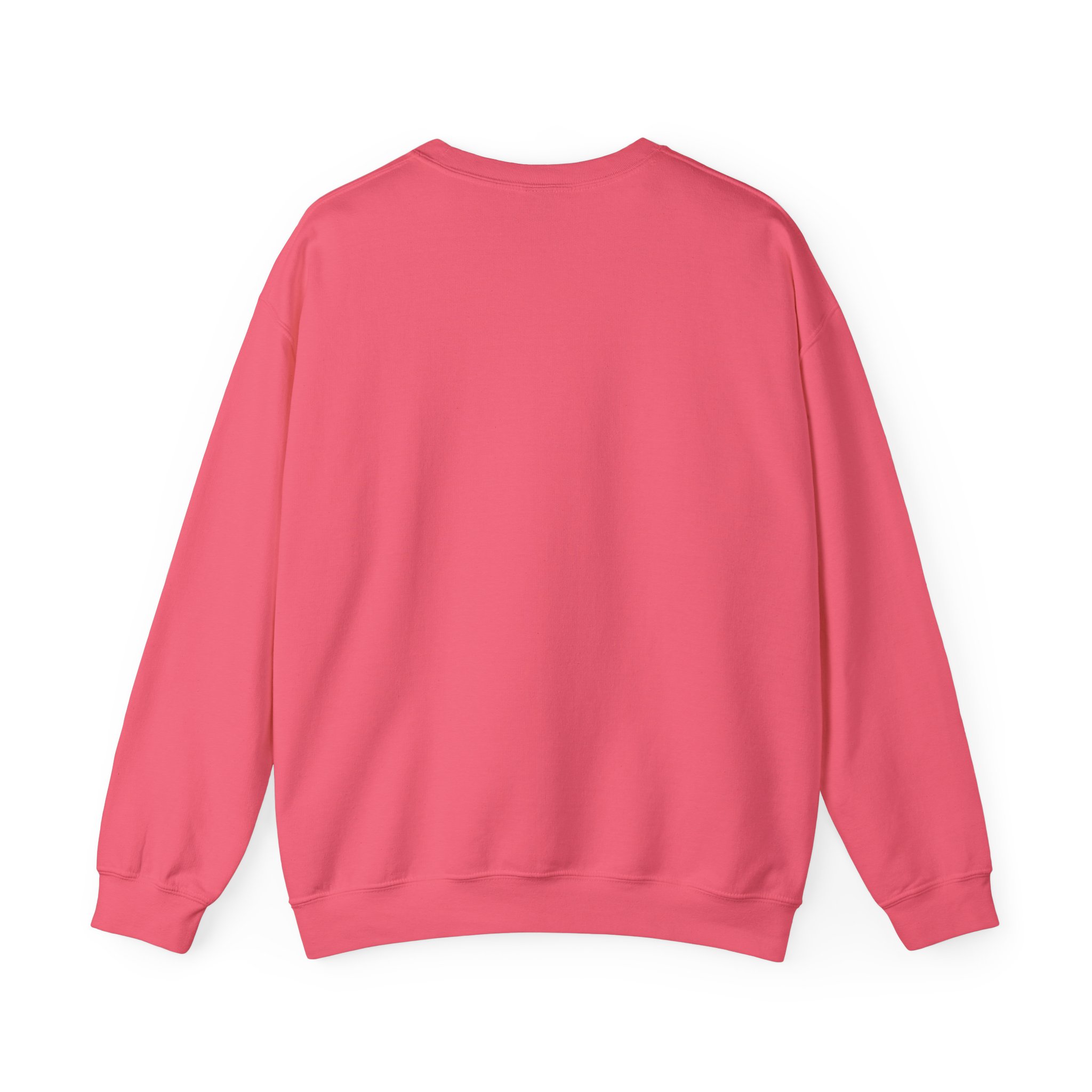 16678671272010993870 2048 - Spencer Barbosa Shop